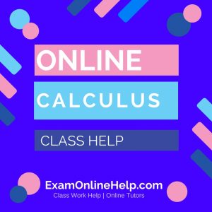Online Calculus Class Help